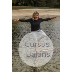 Work With Me Cursus balans