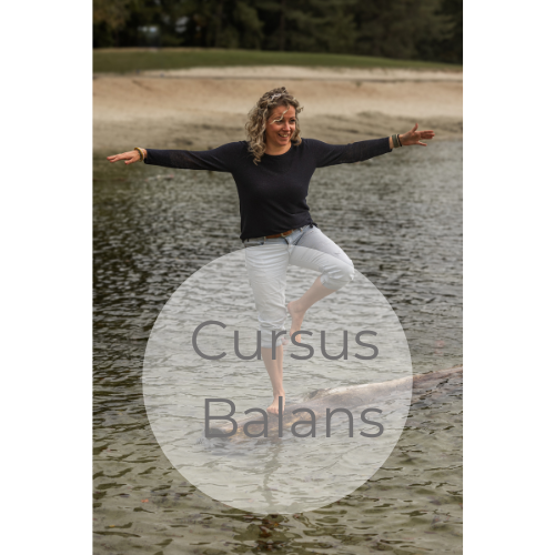 Cursus balans